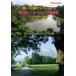 ... шедевр альбом vol.8.. крыло .~ Europe название . сборник [DVD]