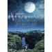 . лампочка ужасы okinawanokowai - нет 2 [DVD]