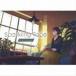 Sparkling Tape - Tokyo Audio Waffle [CD]