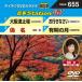 ƥDVD饪 ¿Station W [DVD]