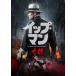 ip* man 9 дракон [DVD]