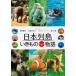  Япония ряд остров . кимоно ... история обычная версия [DVD]