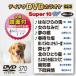 ƥDVD饪 ѡ10W570 [DVD]