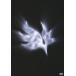 BUMP OF CHICKEN|orbital period [DVD]