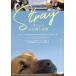 s tray собака . видел мир [DVD]