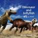 Hideko Kimura Trio / Dinosaur and Jellyfish [CD]