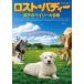  Lost *bati-... Bayley большой приключение [DVD]