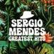  Sergio * men tes/ серый тест *hitsu[CD]