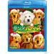  солнечный ta* Buddies | маленький 5 шт. большой приключение [Blu-ray]