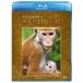  Disney nature | обезьяна. королевство . эта .[Blu-ray]