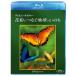  Disney nature | пыльца .... земля. .. .[Blu-ray]