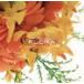 ( сборник ) common ground recordings presents FLORIA [CD]