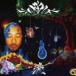 KYN of SD JUNKSTA /.[CD]