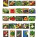 ���� DAJ 132 VEGETABLES 02 ���� �֘A�摜1