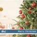 DAJ elm002 Merry Christmas. покупка 