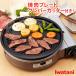  Bistro. . человек III Special Edition +kre резчик арматуры Bistro. . человек 3 гриль плитка плита yakiniku kre резчик арматуры 