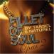 ʩCD DJ Cam & Tassel; Naturel Fillet of Soul: Opus 2 SI001,NT094 Seven Islands Record /00110