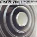CD Grapevine Circulator PCCA01548PROMO Pony Canyon ץ 󥿥 /00110