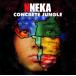 CD Nneka Concrete Jungle  DCN78,DCN78 Decon, Yo Mamas Recording, Epic /00110