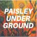 7 Us Paisley Underground / Help Me USSP001 Grandmother Corn Rec /00048