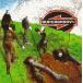 �˥塼��������CD Supergroove Traction 74321218462 BMG /00110