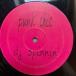 LP Punk Chic DJ Spinnin RAP001 NOT ON LABEL /00260