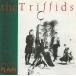��CD Triffids Treeless Plain D19936 Mushroom /00110