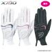  Dunlop XXIO( XXIO ) дамский перчатка GGG-X016WW( обе рука ) 2020 год модели 