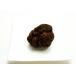  свежий трюфель чёрный трюфель 100g 1 шт .100g over. BIG размер 