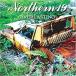 EVERLASTING / Northern19 CD ˮ