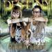 DESTINY / BROWN SUGAR CD Японская музыка 