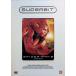 Человек-паук 2 [SUPERBIT(TM)] [DVD]