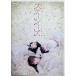  Mai шт. [ крепление, опора She's ] [DVD]