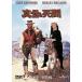  подлинный днем. ..[ первый раз производство ограничение ] [DVD]