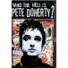 Who the Hell Is Pete Doherty [ иностранная версия DVD]