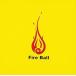  Hinotama / FIRE BALL CD Японская музыка 