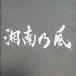  Shonan . способ ~lagapare-do~(2 листов комплект ) / Shonan . способ CD Японская музыка 