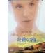  чудесный море [DVD]