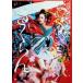  Sakura .~ цветок . музыка . шт ~ [DVD]