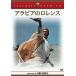  Arabia. Lawrence совершенно версия (DVD2 листов комплект )