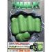  Халк collectors BOX [DVD]