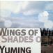 Wings of Winter, Shades of Summer / ��Ǥëͳ�� CD ˮ��