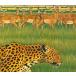 Zoo (teji упаковка specification ) / Fantastic Plastic Machine CD Японская музыка 