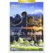[.. ..., договоренность. место ]DVD