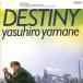DESTINY~ сон ....../ Yamane Yasuhiro CD Японская музыка 