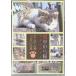 . средний. . кошка lapsoti-~.... кошка 10 год. регистрация ~ [DVD]
