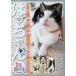 sin forest DVD. . Chan the movie очень популярный nyan доллар * первый. официальный DVD!!