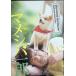  фильм версия mamesiba один .[ в аренду выше DVD]