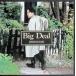 Big Deal / Jinnouchi Taizo CD Японская музыка 