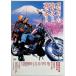  подлинный ночь средний. . следующий san . много san DTS стандартный * выпуск [DVD]